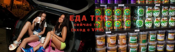 гашик Осинники