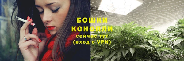 ГАЛЛЮЦИНОГЕННЫЕ ГРИБЫ Остров