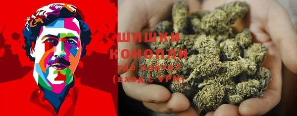прущие крисы Арсеньев
