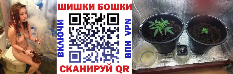Марихуана Bruce Banner  Сясьстрой 